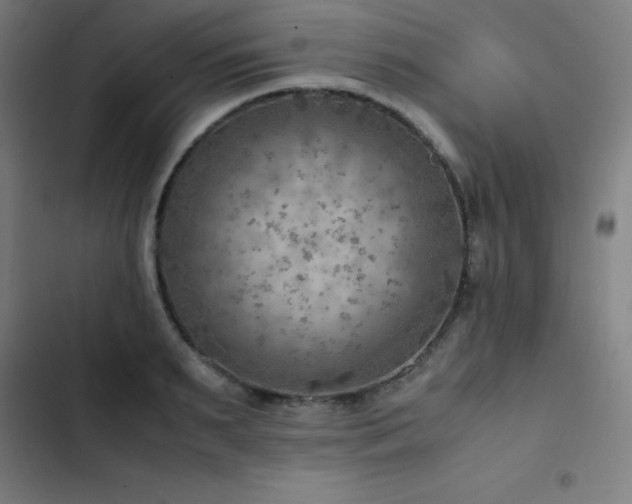 X0000103410895200809121303