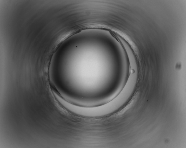 X0000103410897200809121303