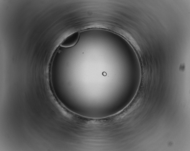 X0000103410898200809121303