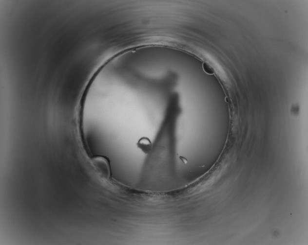 X0000103410899200809121303