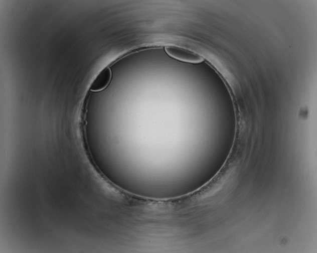 X0000103410901200809121303