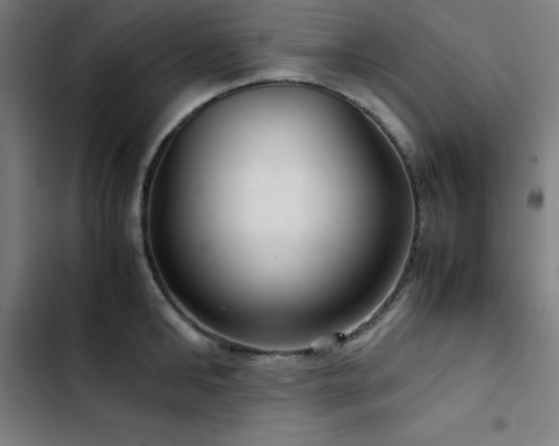 X0000103410902200809121303