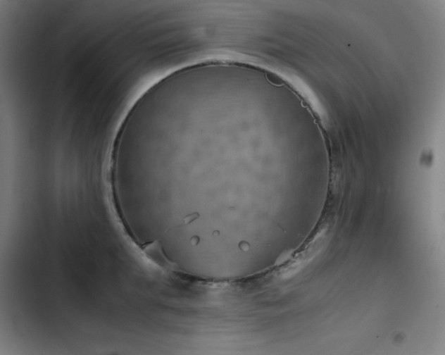 X0000103410903200809121303