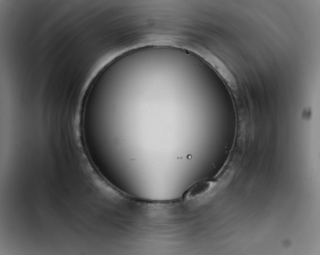 X0000103410904200809121303