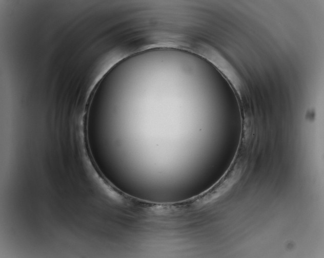 X0000103410906200809121303