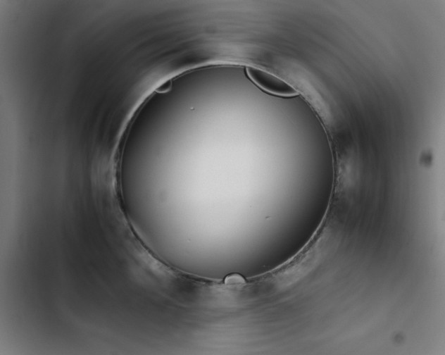 X0000103410908200809121303