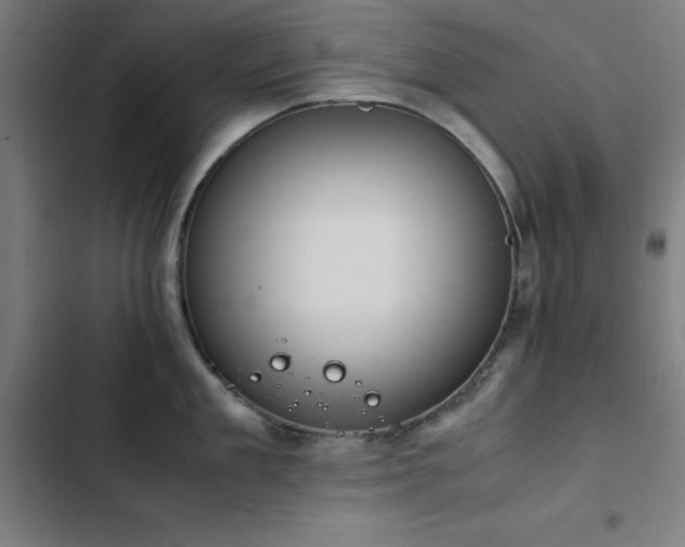 X0000103410909200809121303