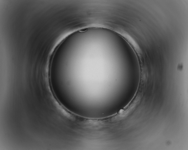 X0000103410910200809121303