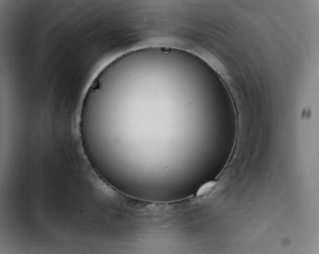 X0000103410912200809121302