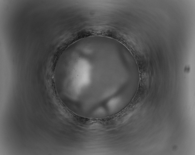 X0000103410913200809121302