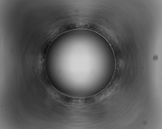 X0000103410914200809121302