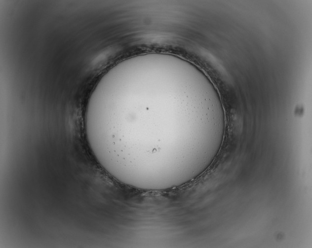 X0000103410918200809121302