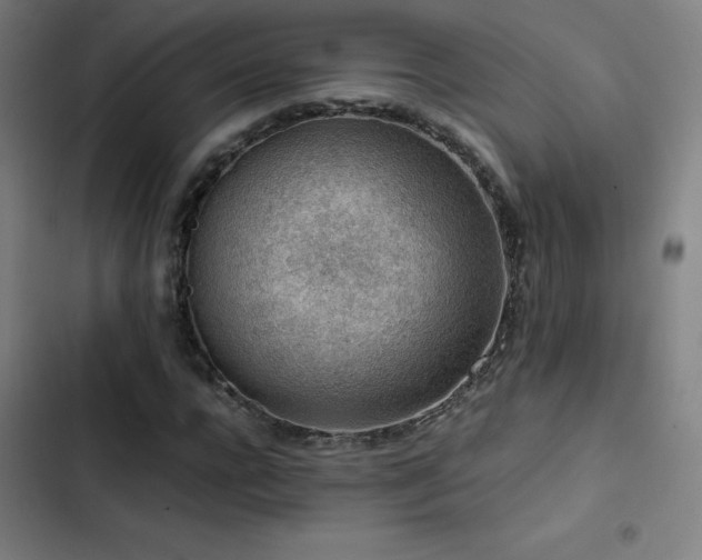 X0000103410920200809121302