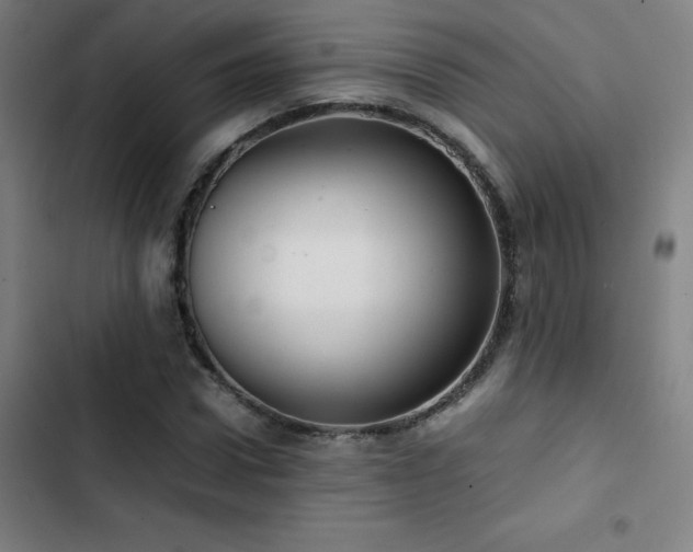 X0000103410922200809121302