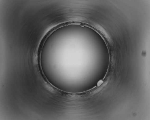 X0000103410924200809121302