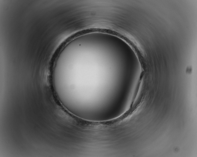 X0000103410926200809121302