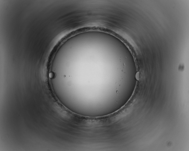 X0000103410927200809121302