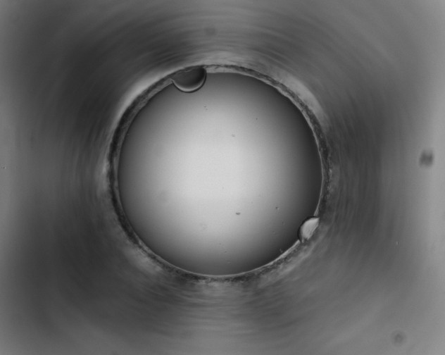 X0000103410928200809121302