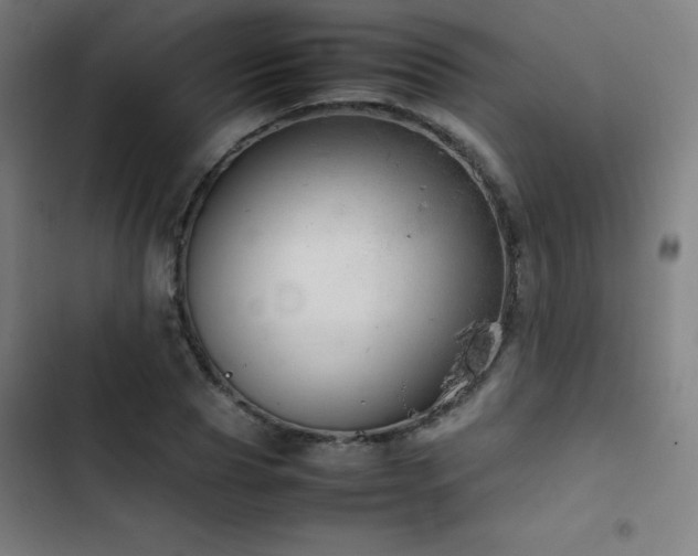 X0000103410929200809121302