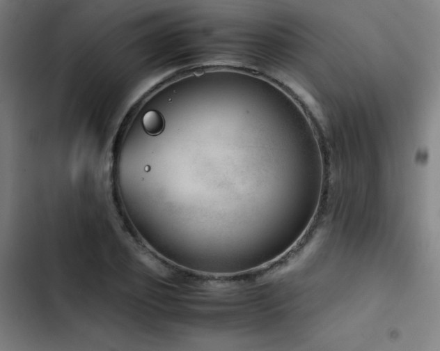 X0000103410933200809121302