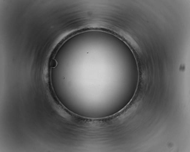 X0000103410934200809121302