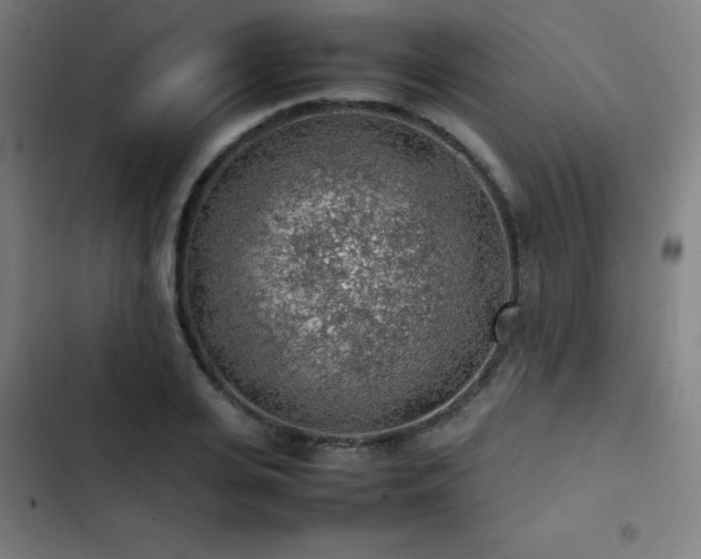 X0000103410935200809121302