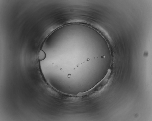 X0000103410937200809121302