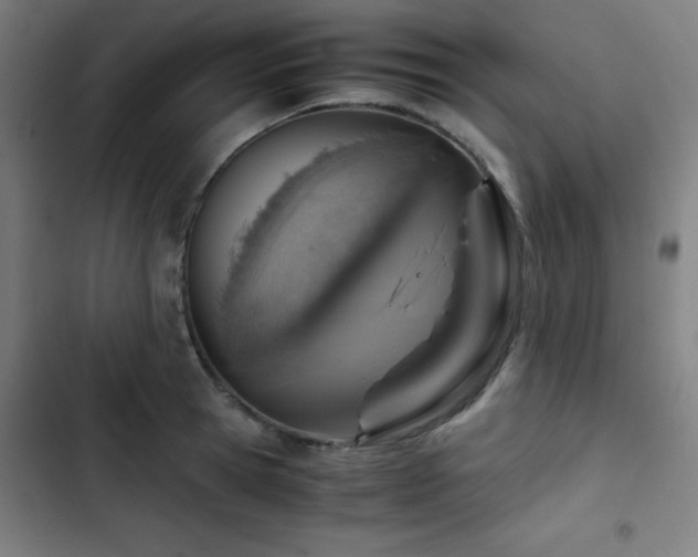 X0000103410945200809121302