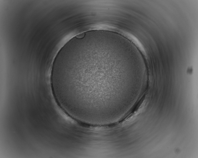 X0000103410946200809121302