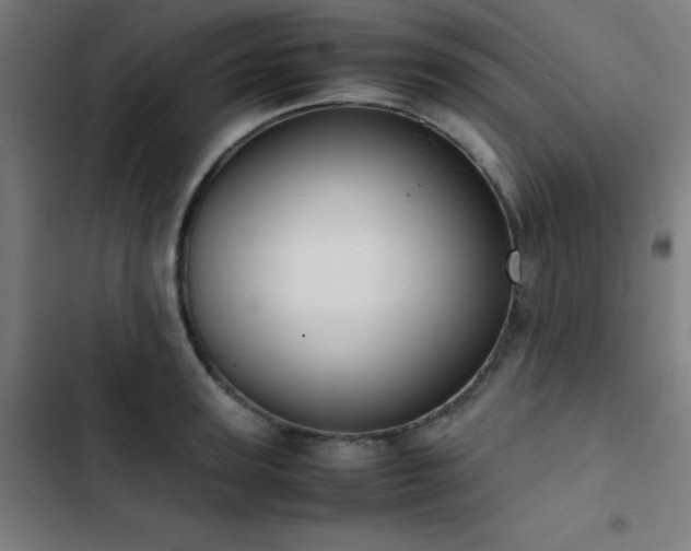 X0000103410947200809121302