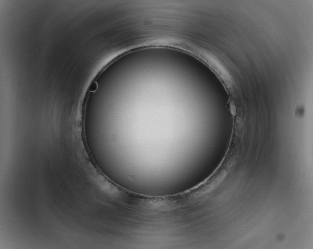 X0000103410948200809121302