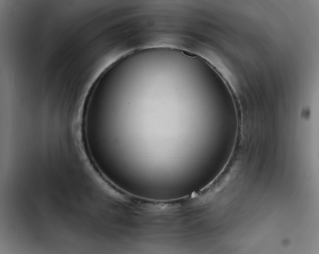 X0000103410949200809121302