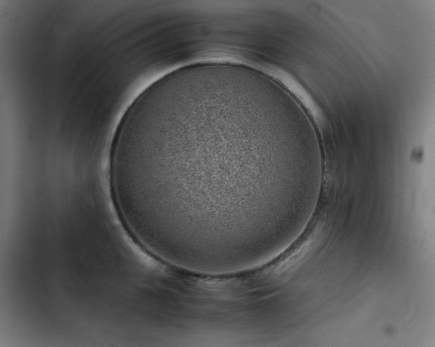 X0000103410951200809121302