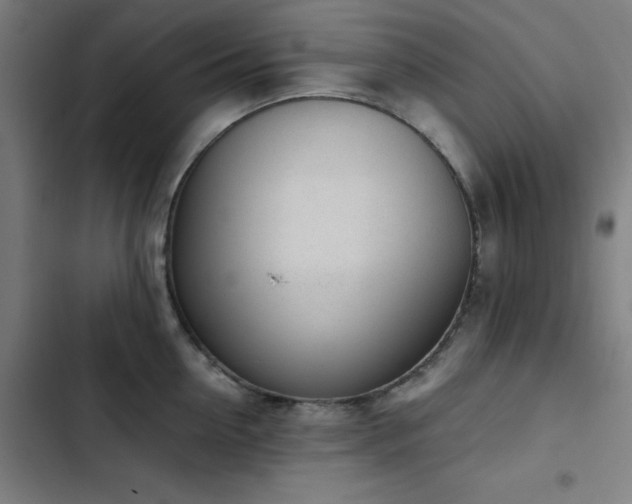 X0000103410954200809121302