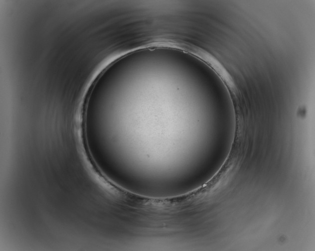 X0000103410955200809121302