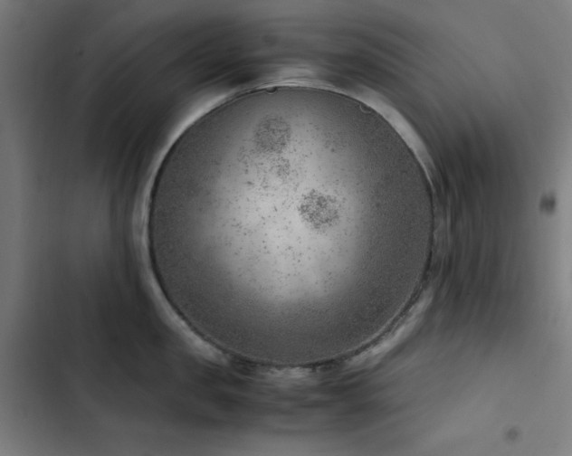 X0000103410957200809121302