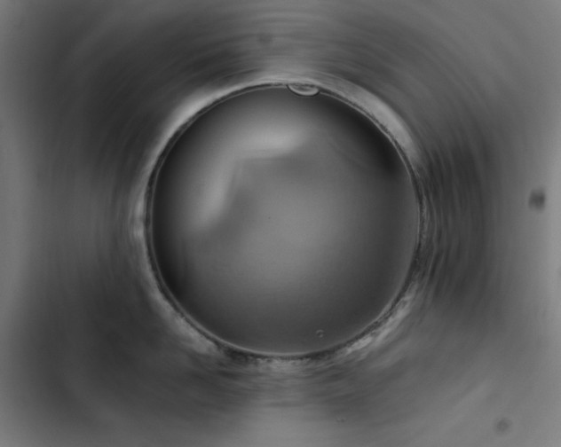 X0000103410958200809121302