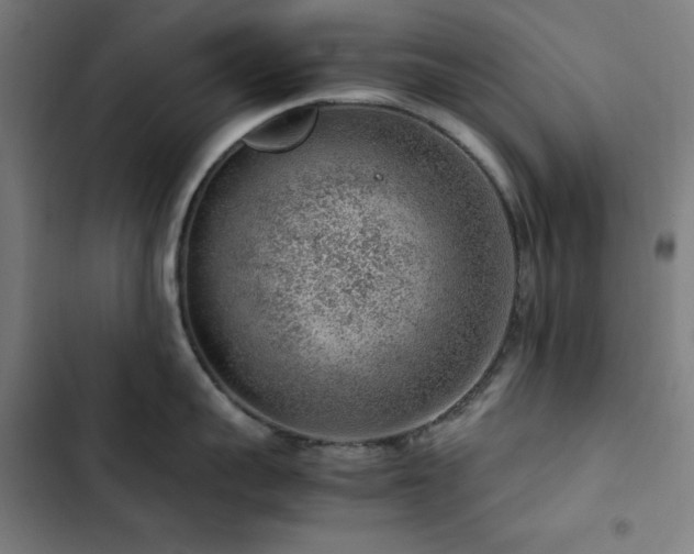 X0000103410959200809121302