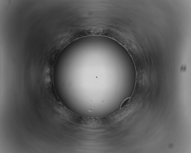 X0000103410962200809121302