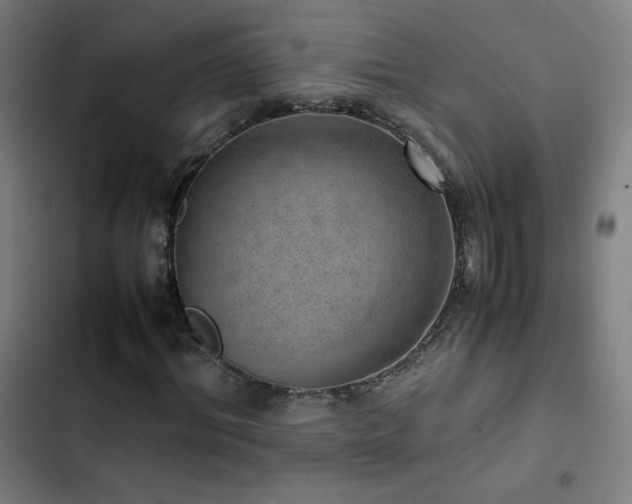 X0000103410964200809121302