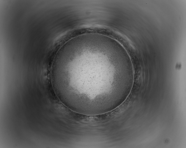 X0000103410966200809121302