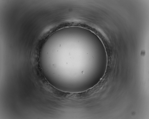 X0000103410967200809121302