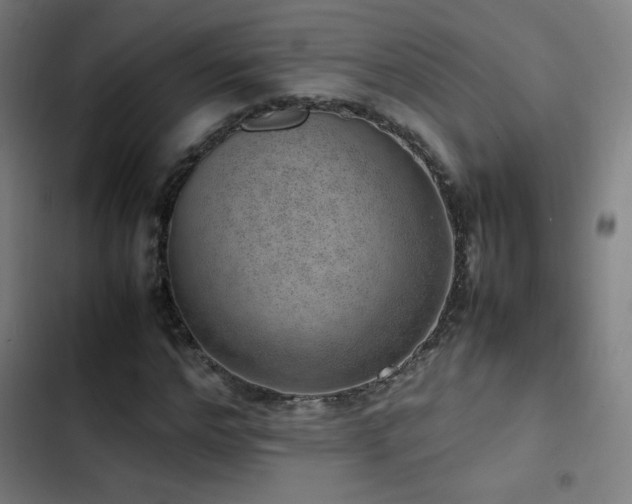 X0000103410968200809121302