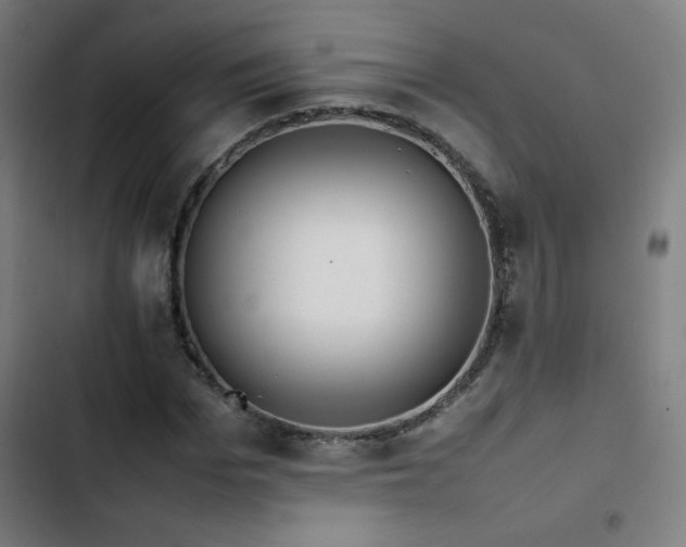 X0000103410969200809121302