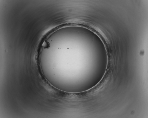 X0000103410971200809121302