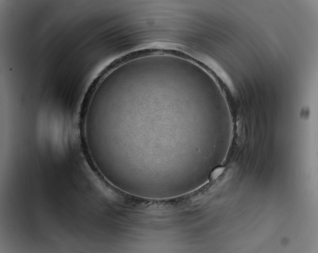 X0000103410972200809121302