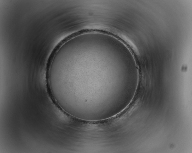 X0000103410976200809121302