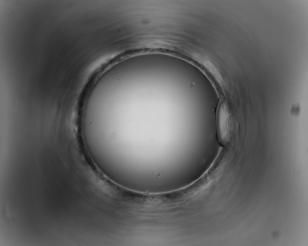 X0000103410979200809121302