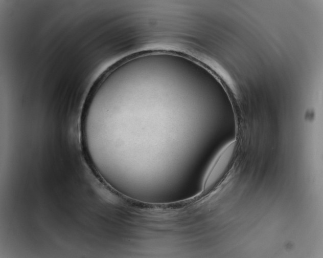 X0000103410980200809121302