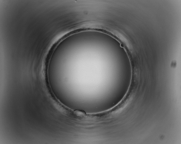 X0000103410981200809121302